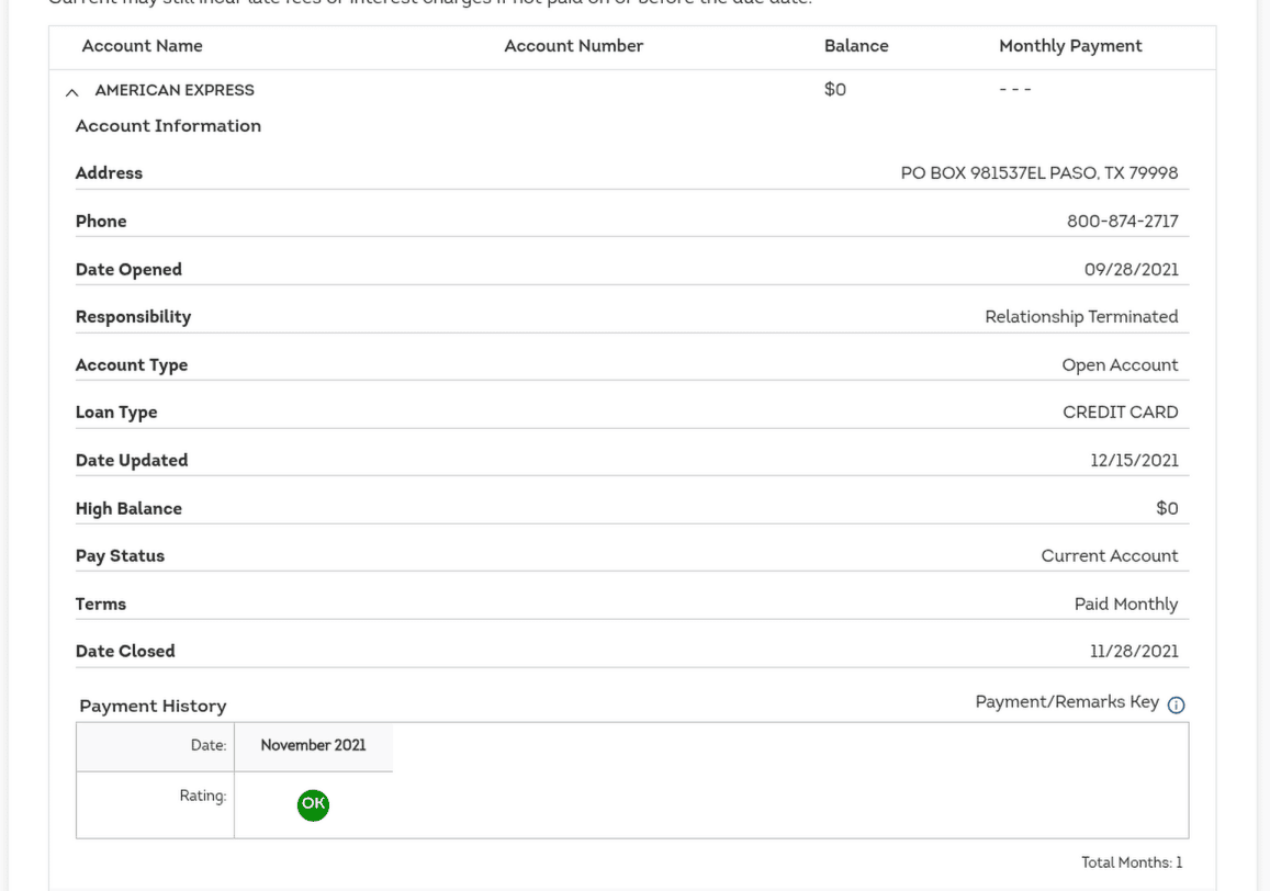 A credit account expanded to show its full detail